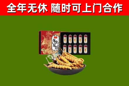 锦州回收冬虫夏草价格